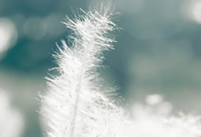 切尔西队在欧国联中表现抢眼，直逼冠军