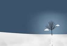 球队奋力争夺积分排名不断升高——逐梦绿茵，逆境蜕变